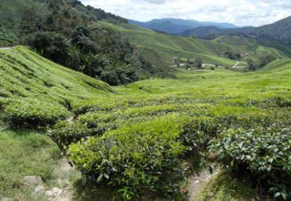 Voyage en Malaisie de Chantal et Jean-Louis