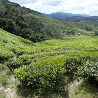Voyage en Malaisie de Chantal et Jean-Louis