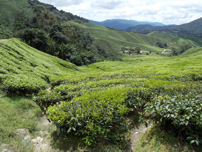 Voyage en Malaisie de Chantal et Jean-Louis