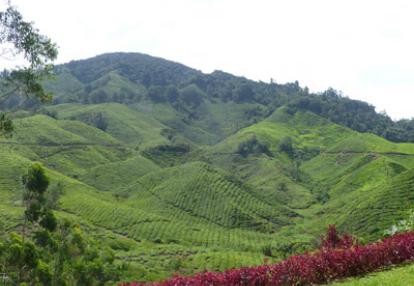 ©Thierry L. - Tous Droits réservés Voyage en Malaisie de Carolyne, Dominique et Fanny