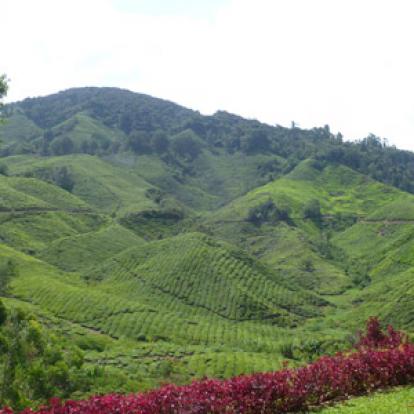 Voyage en Malaisie de Carolyne, Dominique et Fanny 