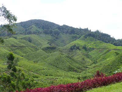 Voyage en Malaisie de Carolyne, Dominique et Fanny 