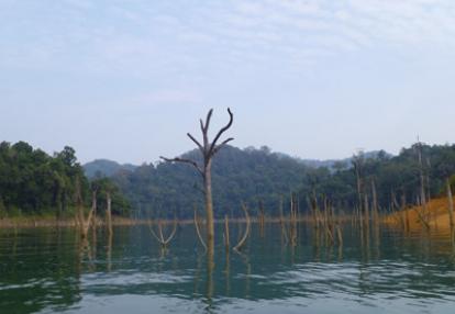 Voyage en Malaisie de Carolyne, Dominique et Fanny 