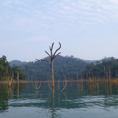 Voyage en Malaisie de Carolyne, Dominique et Fanny 