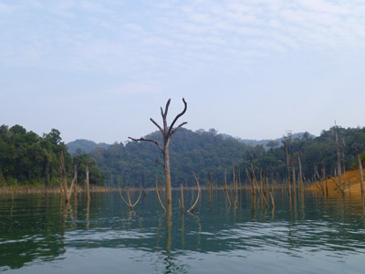 Voyage en Malaisie de Carolyne, Dominique et Fanny 