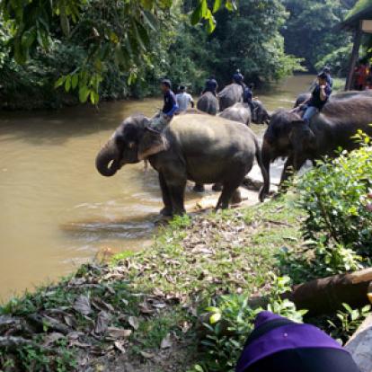 Voyage en Malaisie de la famille de Joëlle