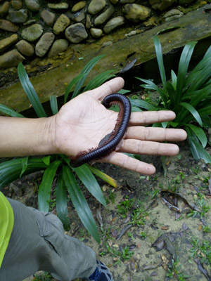 Voyage en Malaisie de la famille de Joëlle