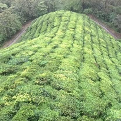 Voyage en Malaisie de la famille de Didier
