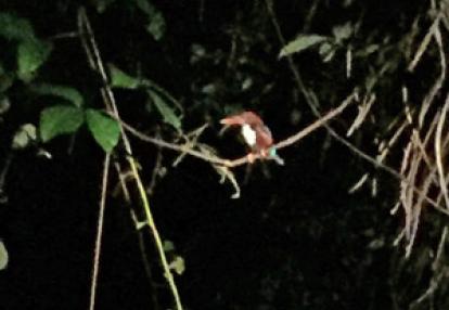 Voyage en Malaisie de la famille de Sidoine