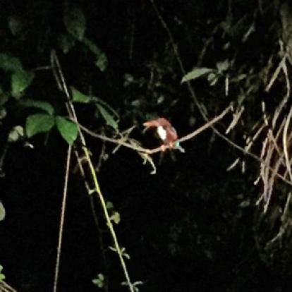 Voyage en Malaisie de la famille de Sidoine