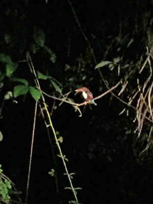 Voyage en Malaisie de la famille de Sidoine