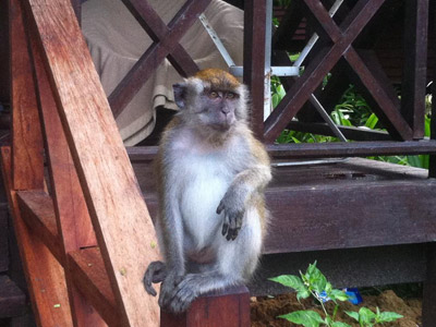 Voyage en Malaisie de Lili et Ronald
