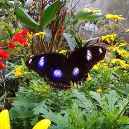 Voyage en Malaisie de Mireille