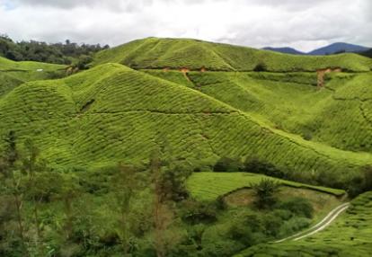 Voyage en Malaisie de Mireille