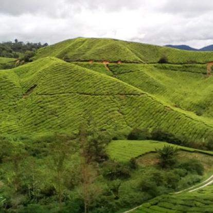 Voyage en Malaisie de Mireille
