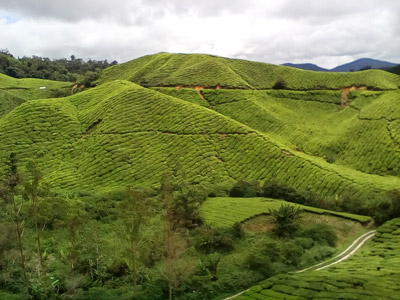 Voyage en Malaisie de Mireille