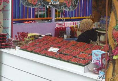 Voyage en Malaisie de Mireille