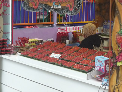 Voyage en Malaisie de Mireille