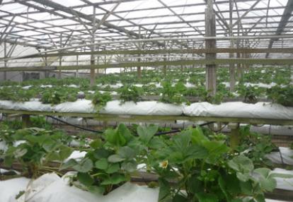 Voyage en Malaisie de Mireille