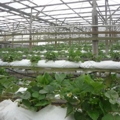 Voyage en Malaisie de Mireille