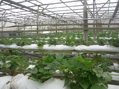 Voyage en Malaisie de Mireille