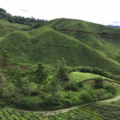 Voyage en Malaisie de la Famille de Delphine