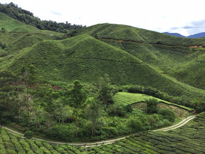 Voyage en Malaisie de la Famille de Delphine