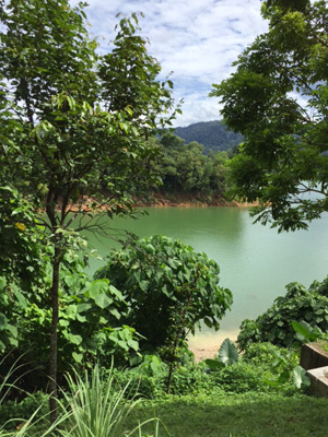 Voyage en Malaisie de la Famille de Delphine