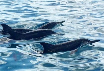 Voyage aux Maldives de la Famille de Pierre