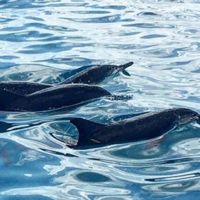 Voyage aux Maldives de la Famille de Pierre