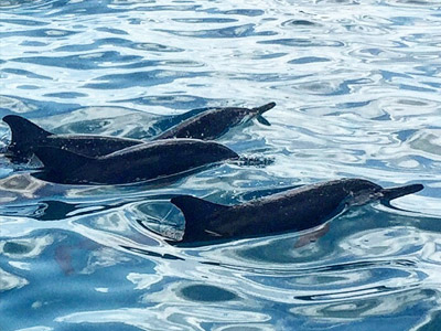 Voyage aux Maldives de la Famille de Pierre
