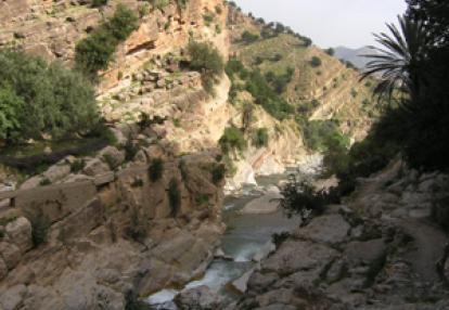 ©Philippe S. - Tous Droits réservés