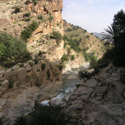 ©Philippe S. - Tous Droits réservés