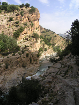 ©Philippe S. - Tous Droits réservés