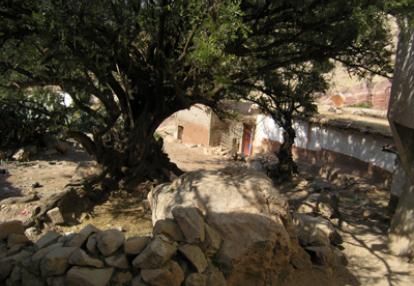 ©Philippe S. - Tous Droits réservés