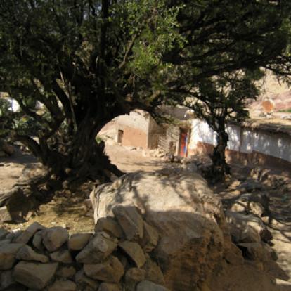 ©Philippe S. - Tous Droits réservés