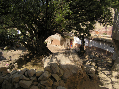 ©Philippe S. - Tous Droits réservés