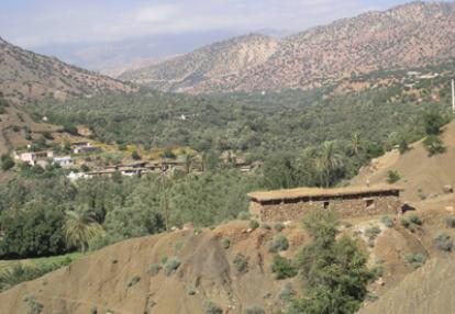 ©Philippe S. - Tous Droits réservés