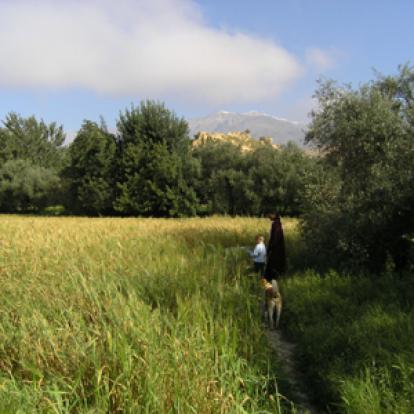 ©Philippe S. - Tous Droits réservés