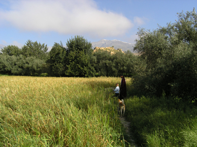 ©Philippe S. - Tous Droits réservés