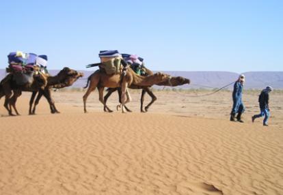 ©Pascal D. - Tous Droits réservés