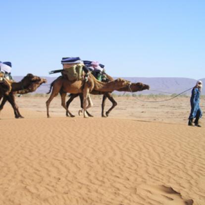 ©Pascal D. - Tous Droits réservés