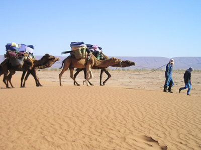 ©Pascal D. - Tous Droits réservés