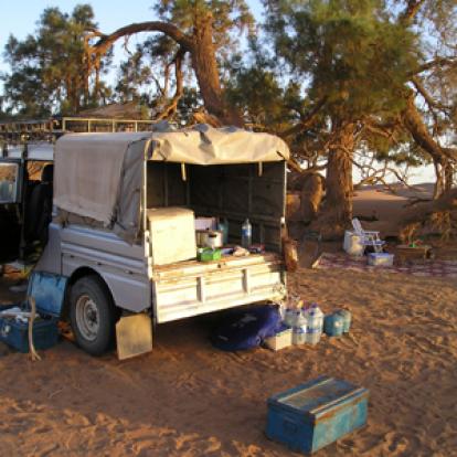 ©Pascal D. - Tous Droits réservés