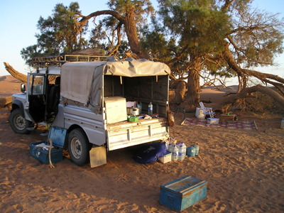 ©Pascal D. - Tous Droits réservés