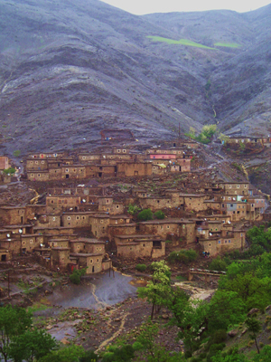 ©Pascal D. - Tous Droits réservés