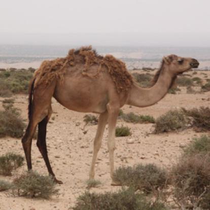 ©Maïté, Christian et Maxime D. - Tous Droits réservés