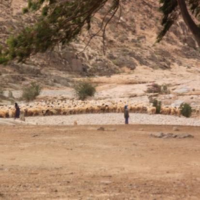 ©Maïté, Christian et Maxime D. - Tous Droits réservés