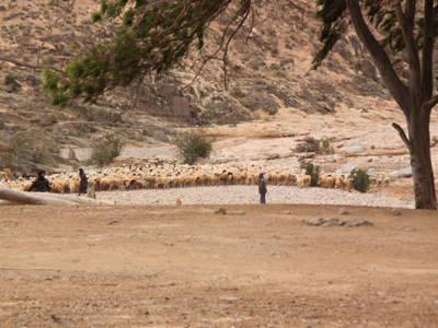 ©Maïté, Christian et Maxime D. - Tous Droits réservés