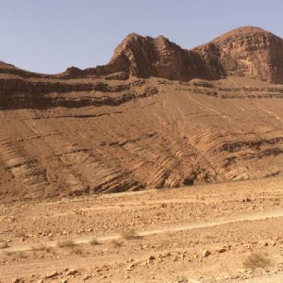 ©Danielle et Olivier - Tous Droits réservés